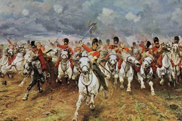Scots greys